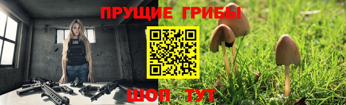 Галлюциногенные грибы ЛСД  Вход с VPN  Нижний Новгород 